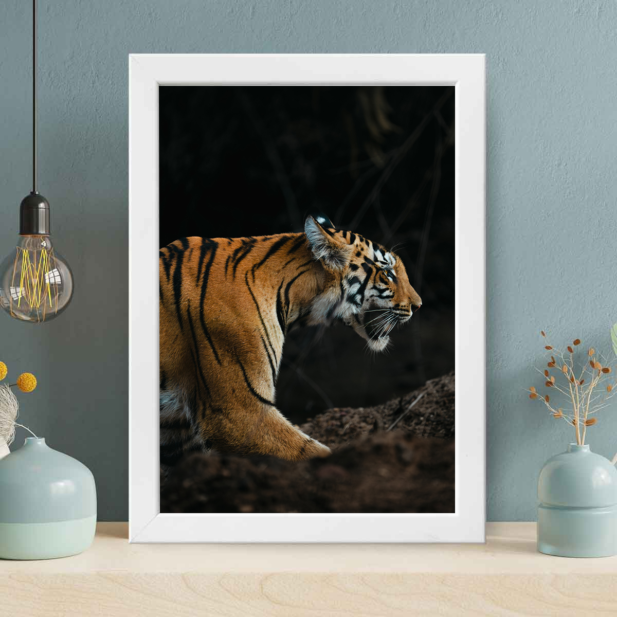 Tiger in Tadoba - Dark Tone