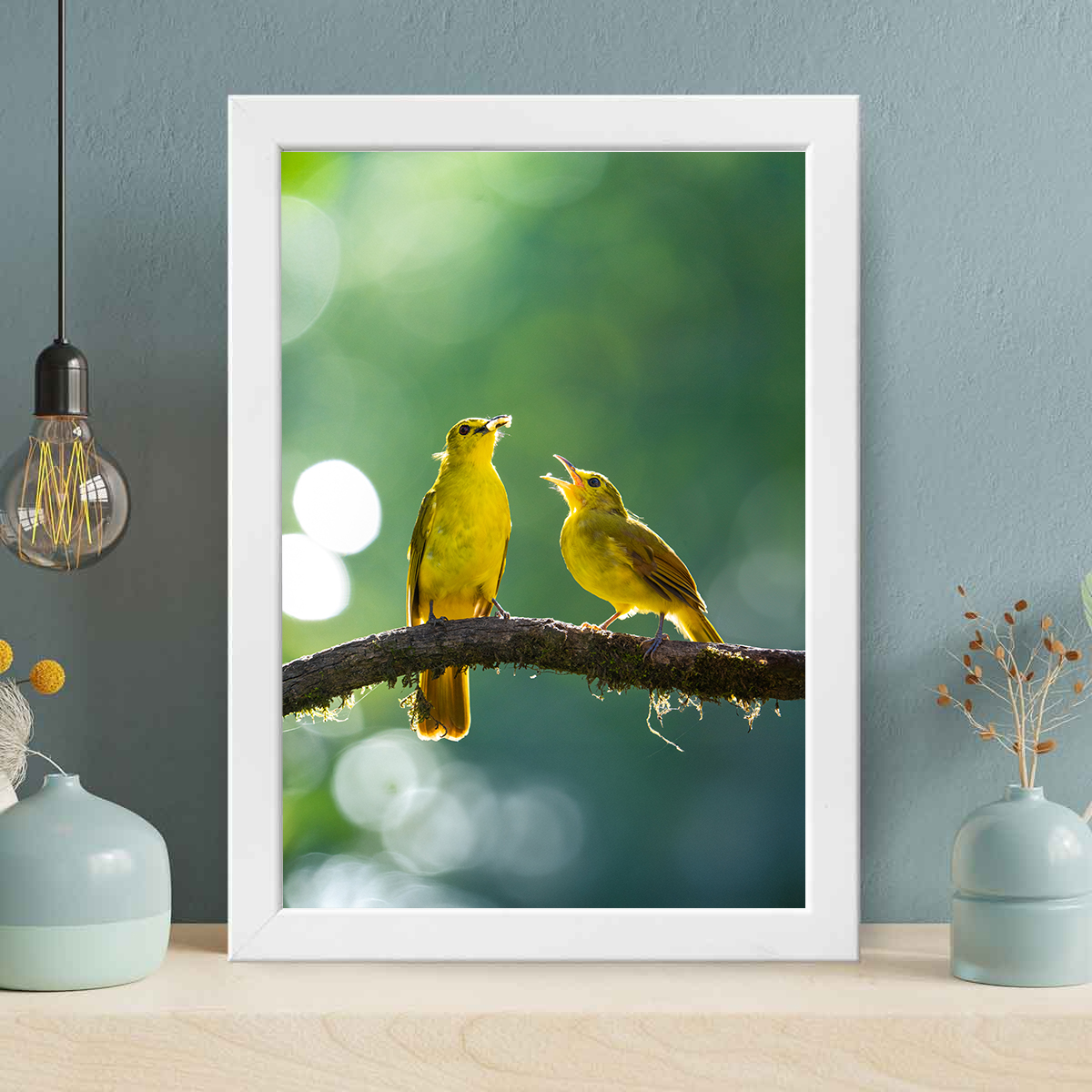 Yellow-browed Bulbul Feeding